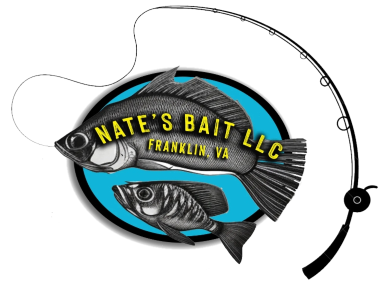 Nate's Bait & Market